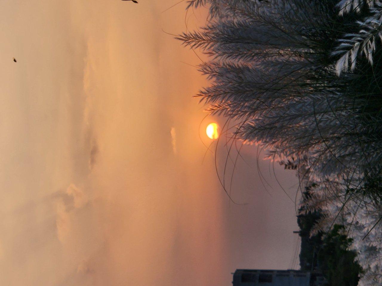 Coucher de soleil sur Beaurain, partage de passion au festival des majorettes avec VipPhotographes.